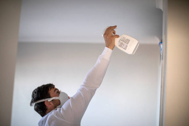 Best Mold Removal Company Near Me  in Honokaa, HI