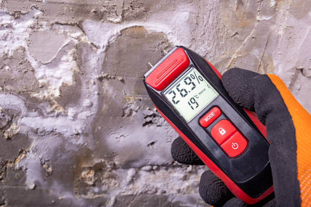 Best Emergency Mold Removal  in Honokaa, HI
