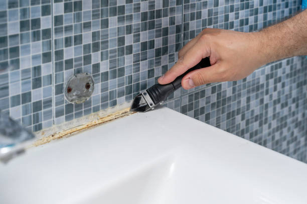 Best Attic Mold Removal  in Honokaa, HI