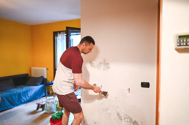 Best Local Mold Removal Service  in Honokaa, HI